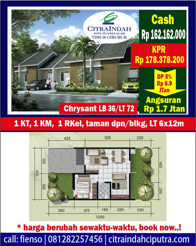 Chrysant citra indah