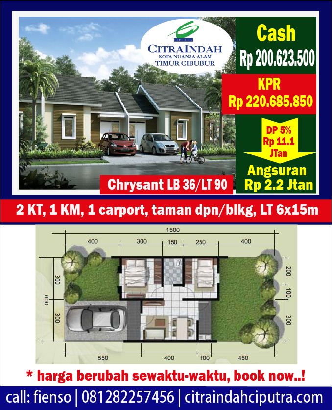 Chrysant citra indah