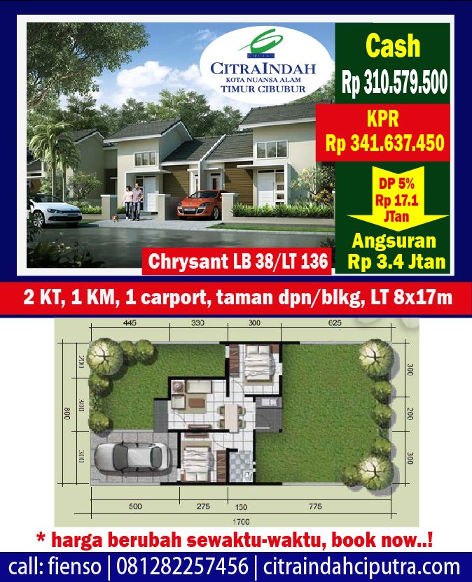 Chrysant citra indah