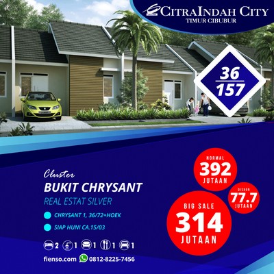 Chrysant 1 Hoek 36/157 CA.15/03