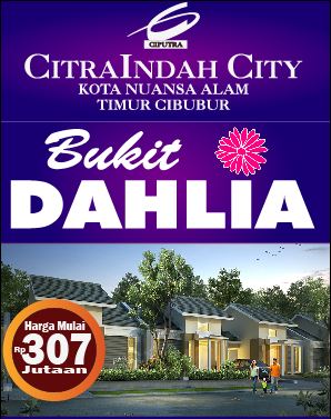 dahlia citra indah