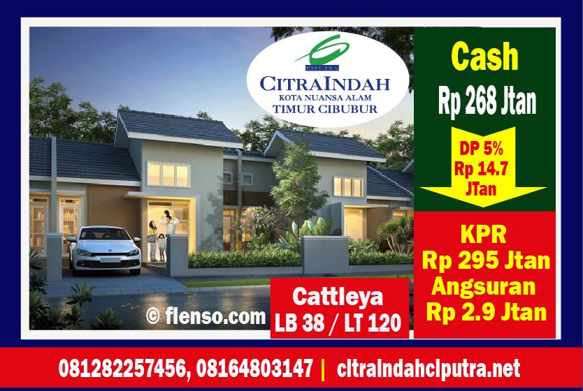 cattleya 38/150 citra indah