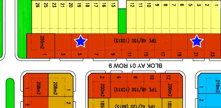 stok, rafflesia, citra indah